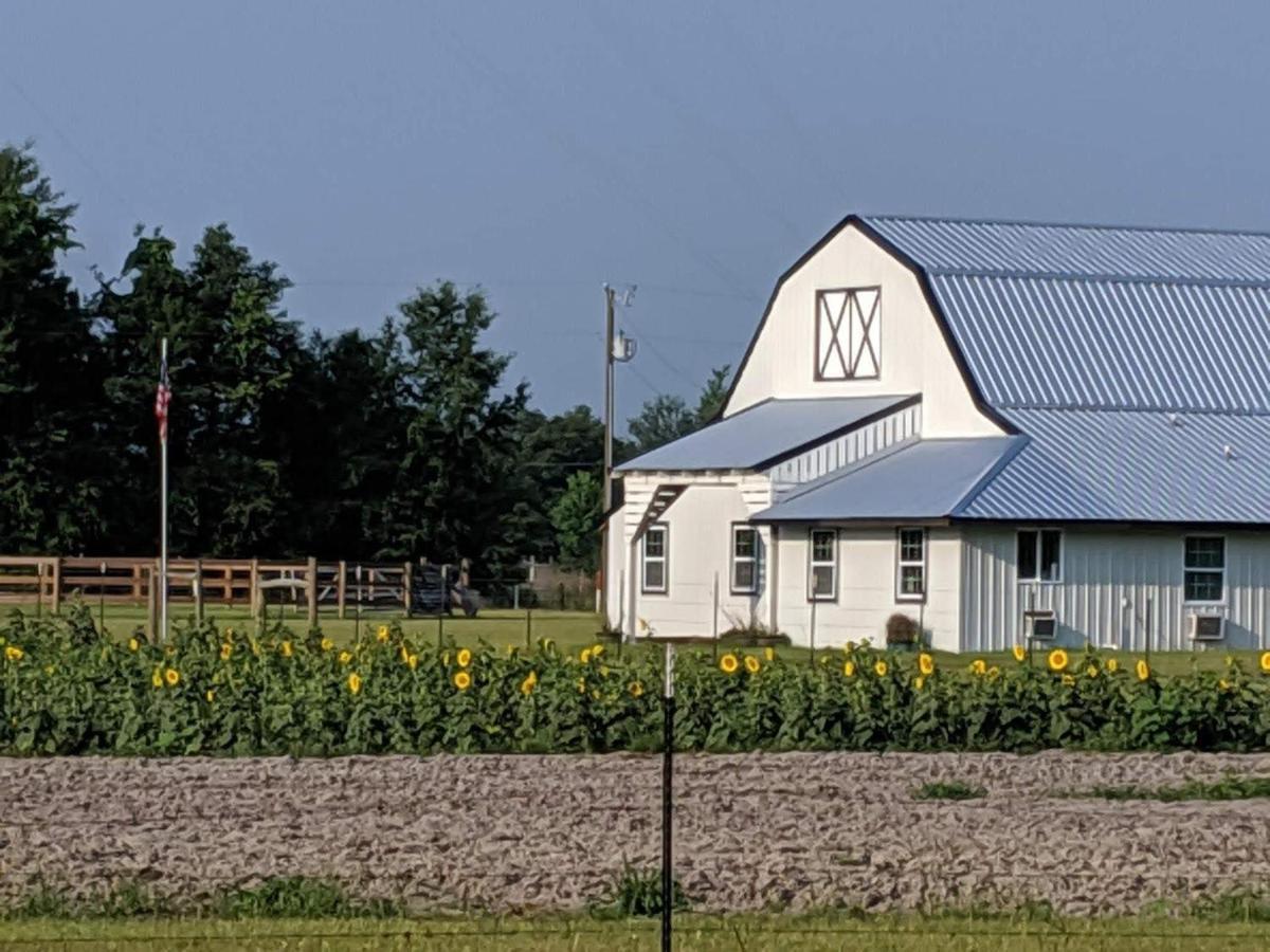 Bunkhouse Farm Stay Fort White Eksteriør bilde